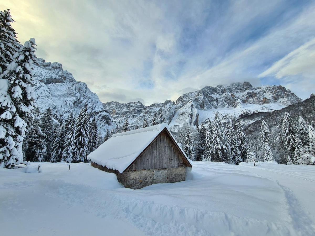Chalet Camporosso Camporosso  エクステリア 写真