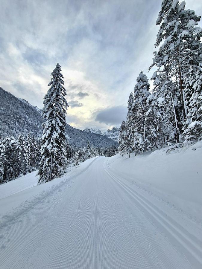 Chalet Camporosso Camporosso  エクステリア 写真